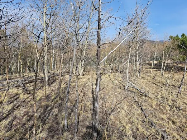 93 Wyandot, Como, CO 80432