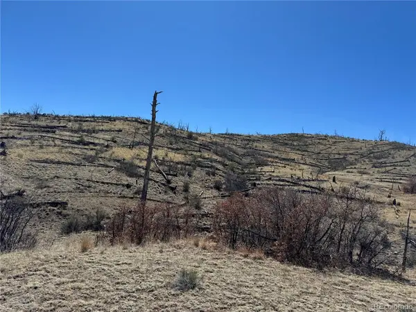 32 F, Cotopaxi, CO 81223