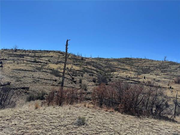 32 F, Cotopaxi, CO 81223