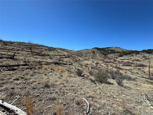 32 F, Cotopaxi, CO 81223