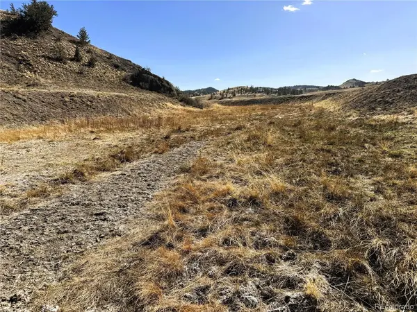 7 Cahokia, Hartsel, CO 80449