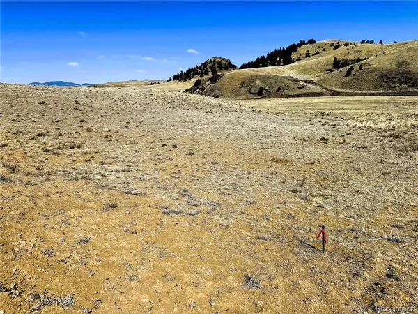 7 Cahokia, Hartsel, CO 80449