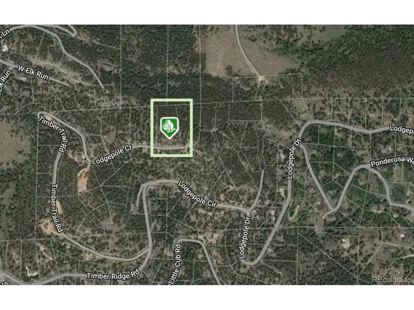32593 Lodgepole, Evergreen, CO 80439