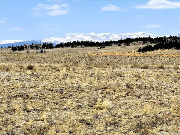 52 Gila, Hartsel, CO 80449