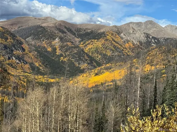 18462 Bowman, Buena Vista, CO 81211