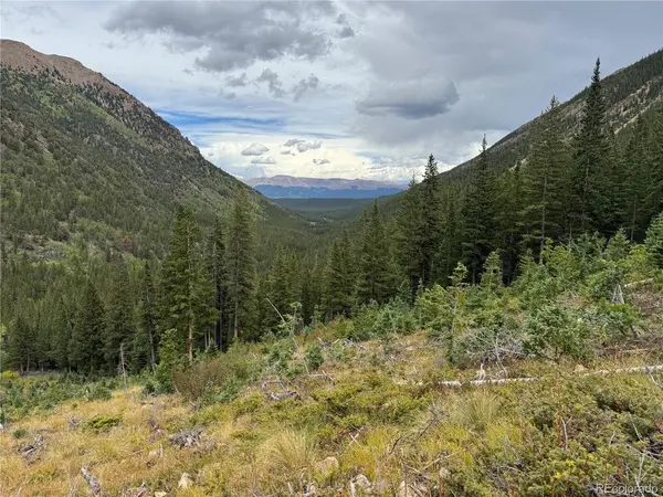 18462 Bowman, Buena Vista, CO 81211
