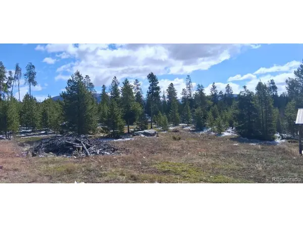 164 County Road 443, Grand Lake, CO 80447