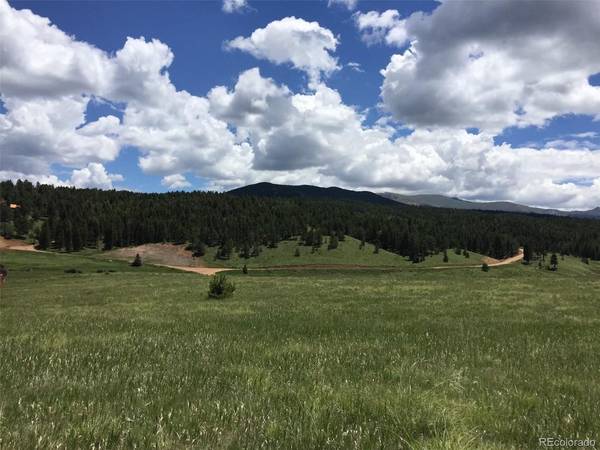 4600 Elk Valley, Divide, CO 80814