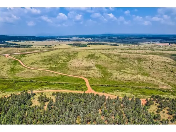 4600 Elk Valley, Divide, CO 80814