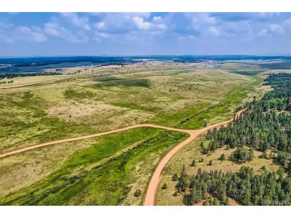 4600 Elk Valley, Divide, CO 80814