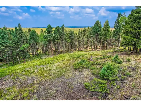 4600 Elk Valley, Divide, CO 80814