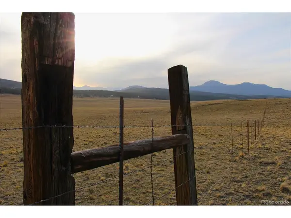 1071 Wagon Wheel, Hartsel, CO 80449