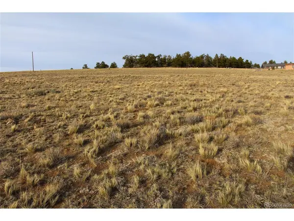 1071 Wagon Wheel, Hartsel, CO 80449