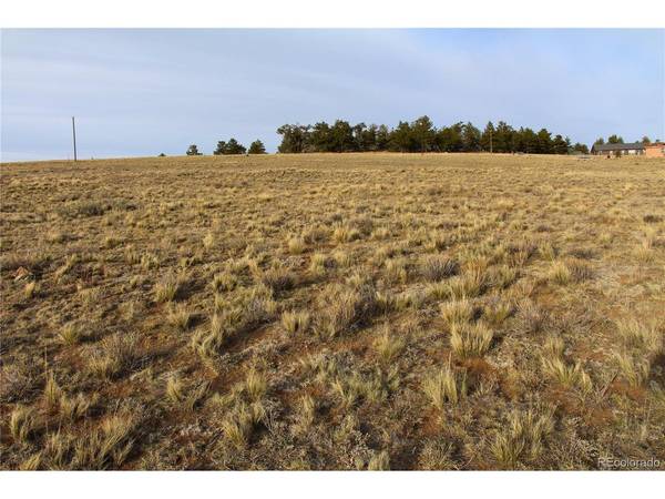 1071 Wagon Wheel, Hartsel, CO 80449