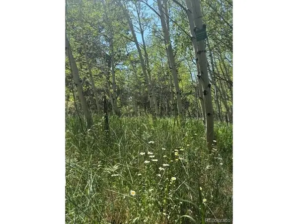 105 Caribou, Nederland, CO 80466