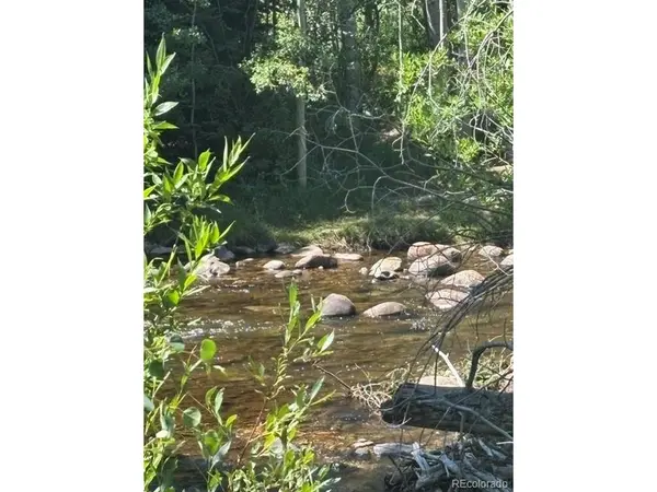 105 Caribou, Nederland, CO 80466