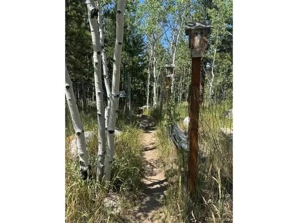 105 Caribou, Nederland, CO 80466