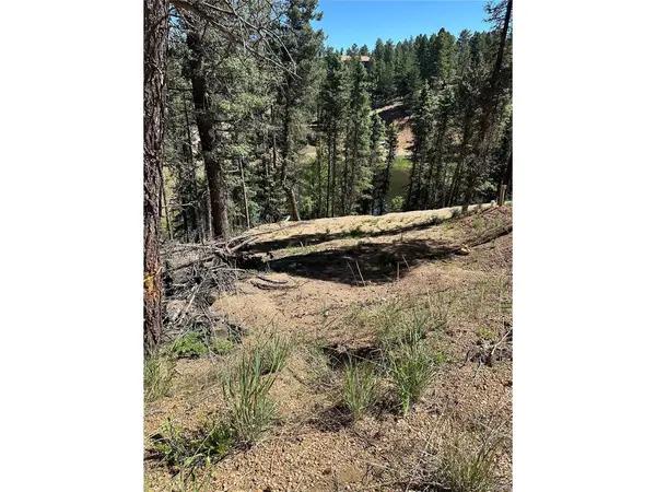 67 Gerka, Florissant, CO 80816