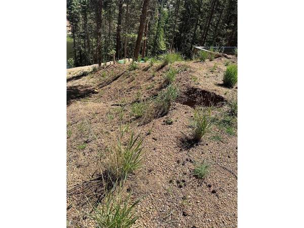 67 Gerka, Florissant, CO 80816