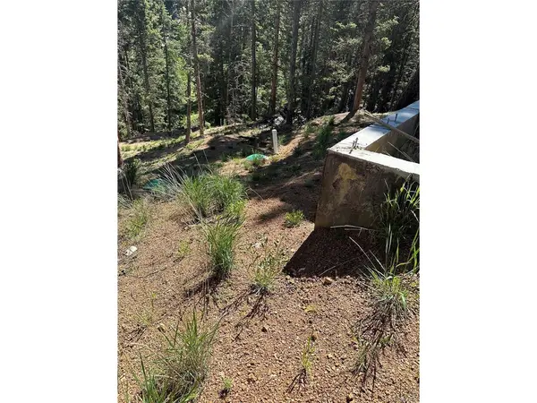 67 Gerka, Florissant, CO 80816
