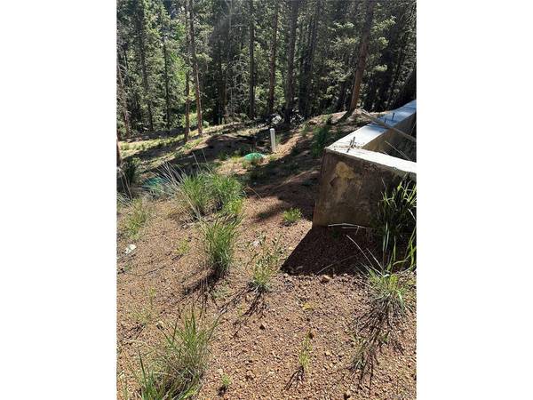 67 Gerka, Florissant, CO 80816