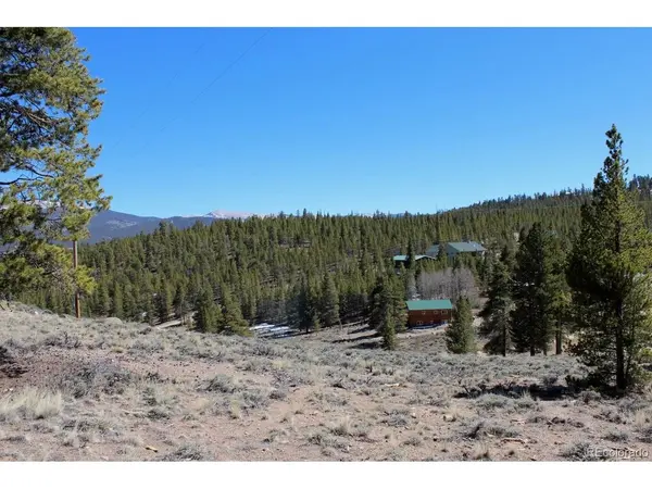 104 Cedar, Twin Lakes, CO 80461