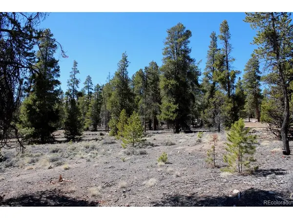 104 Cedar, Twin Lakes, CO 80461