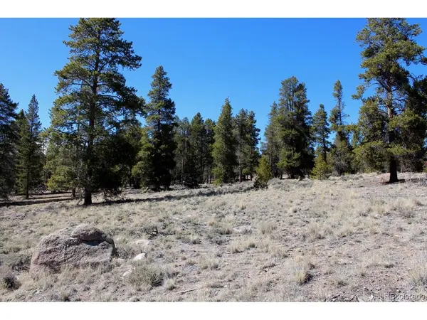 104 Cedar, Twin Lakes, CO 80461