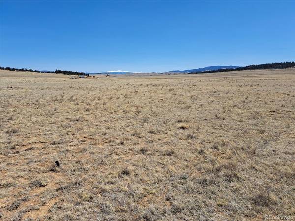 0 Chickasaw, Hartsel, CO 80449
