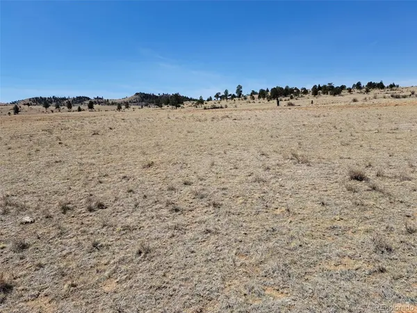 0 Chickasaw, Hartsel, CO 80449