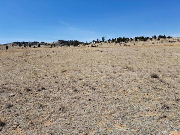 0 Chickasaw, Hartsel, CO 80449