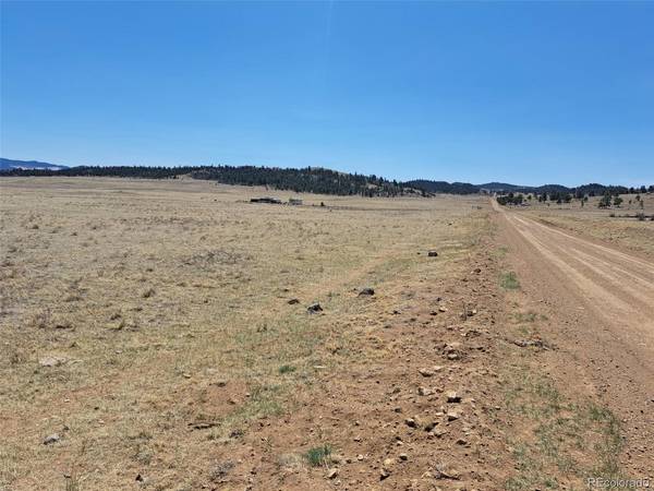 0 Chickasaw, Hartsel, CO 80449