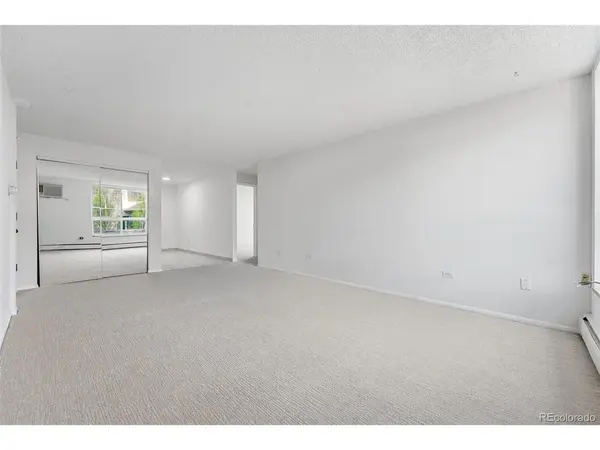1050 N Lafayette #307, Denver, CO 80218