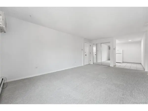 1050 N Lafayette #307, Denver, CO 80218