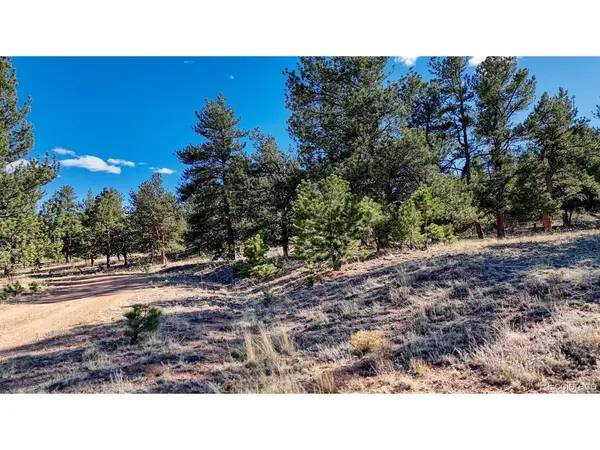 5124 Arikara, Hartsel, CO 80449