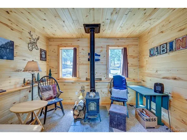 30433 National Forest, Buena Vista, CO 81211