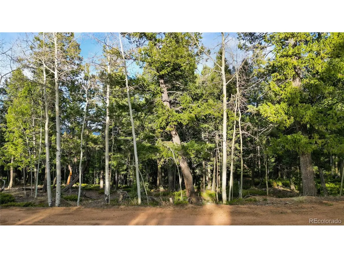68 Yale, Woodland Park, CO 80863