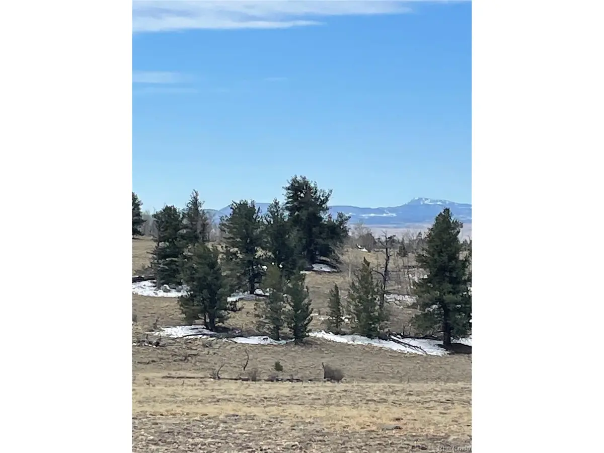 148 Grand Teton, Hartsel, CO 80449