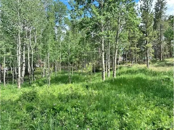 293 Aspen, Black Hawk, CO 80422