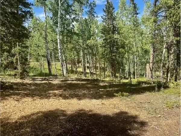 293 Aspen, Black Hawk, CO 80422