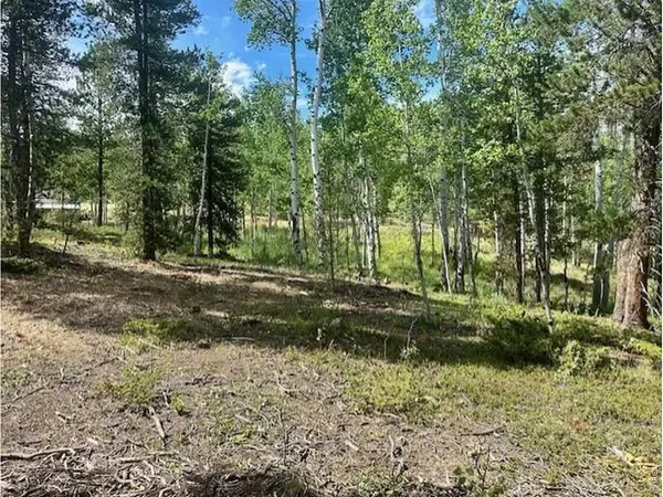 293 Aspen, Black Hawk, CO 80422