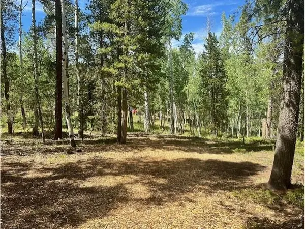 293 Aspen, Black Hawk, CO 80422