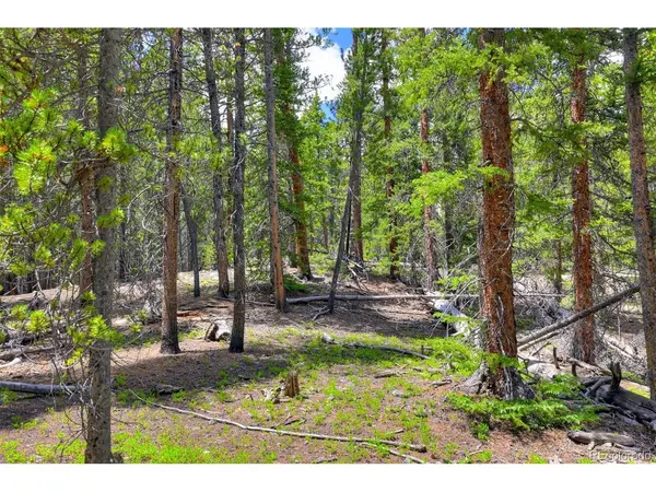 2221 Kootchie Kootchie, Fairplay, CO 80440