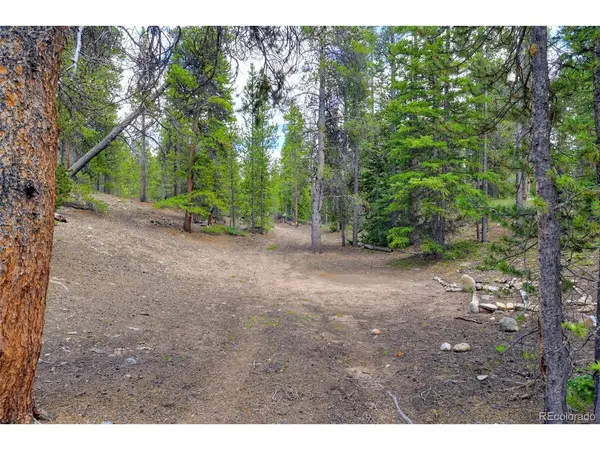 2221 Kootchie Kootchie, Fairplay, CO 80440