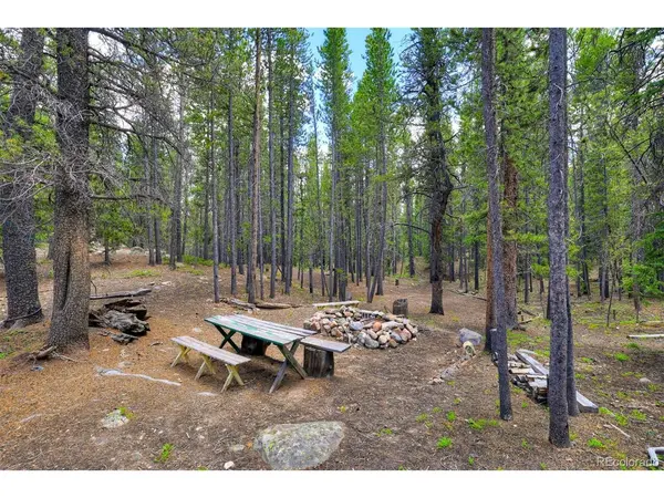 2221 Kootchie Kootchie, Fairplay, CO 80440