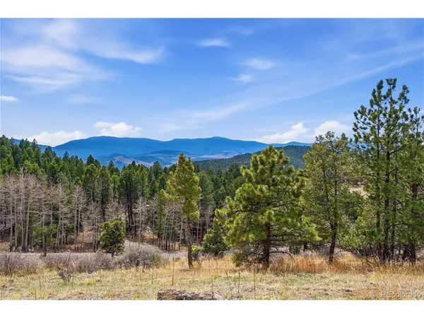 13108 Elsie, Conifer, CO 80433
