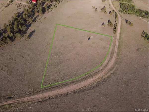 767 Brahma, Hartsel, CO 80449