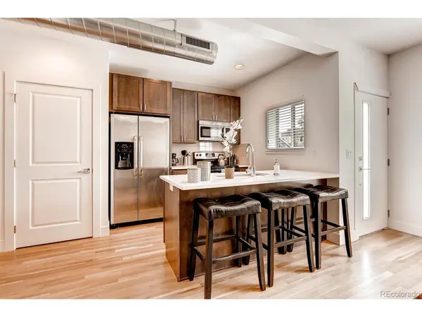 3110 Vallejo, Denver, CO 80211
