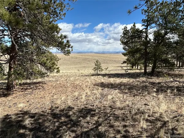 517 Brahma, Hartsel, CO 80449