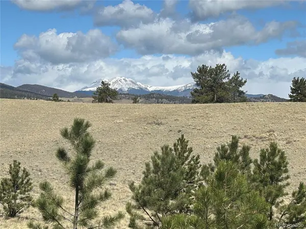 517 Brahma, Hartsel, CO 80449